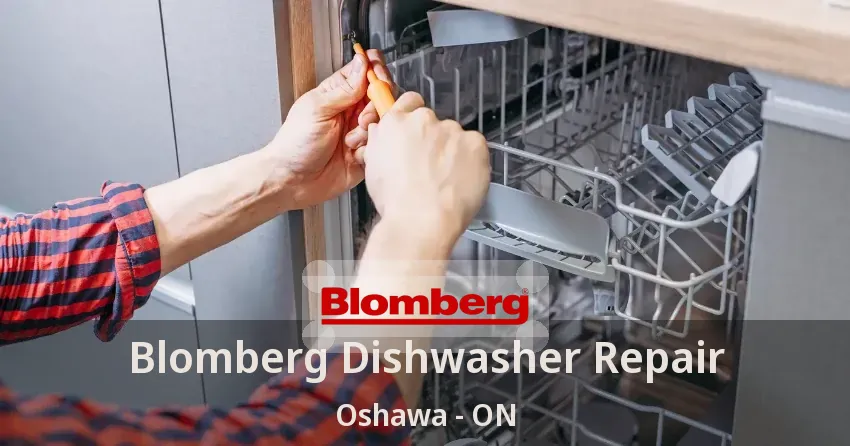 Blomberg Dishwasher Repair Oshawa - ON