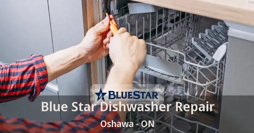 Blue Star Dishwasher Repair Oshawa - ON
