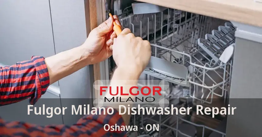 Fulgor Milano Dishwasher Repair Oshawa - ON