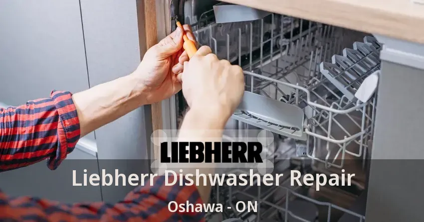 Liebherr Dishwasher Repair Oshawa - ON
