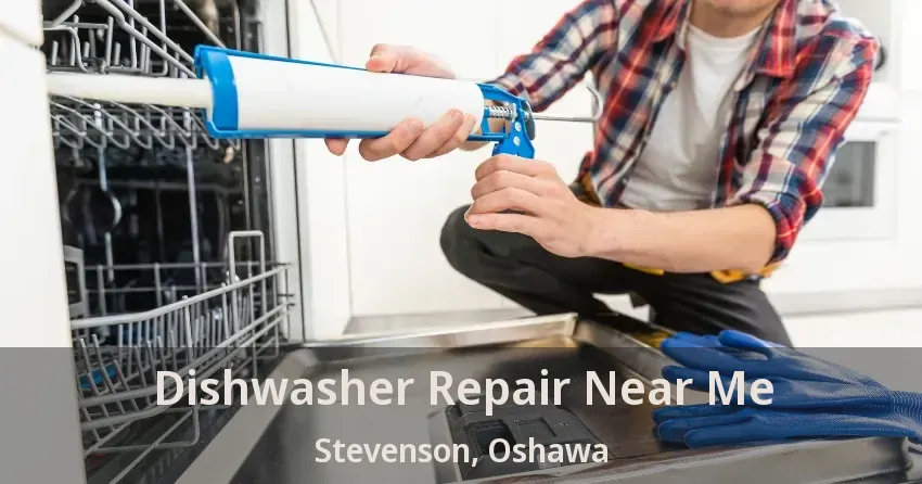 Dishwasher Repair Near Me Stevenson, Oshawa - ON