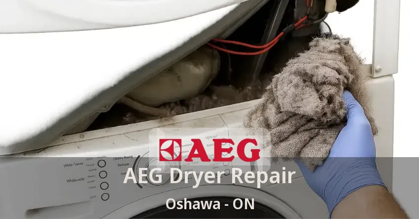 AEG Dryer Repair Oshawa - ON