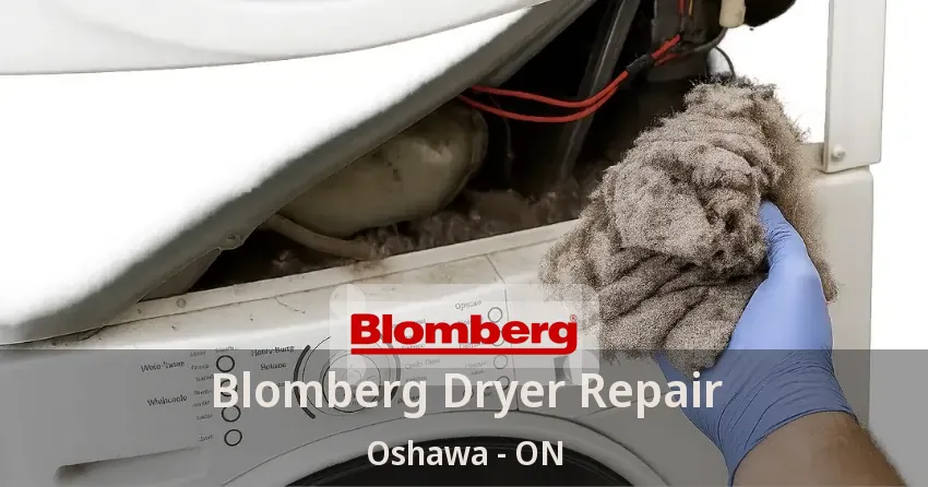 Blomberg Dryer Repair Oshawa - ON
