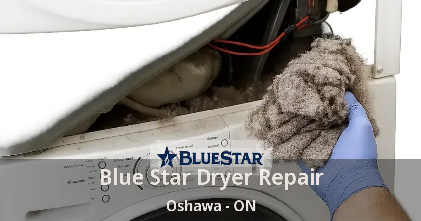 Blue Star Dryer Repair Oshawa - ON