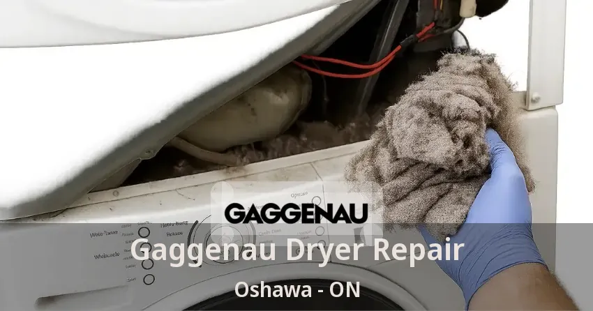 Gaggenau Dryer Repair Oshawa - ON