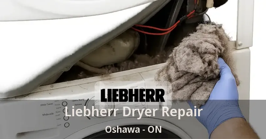 Liebherr Dryer Repair Oshawa - ON