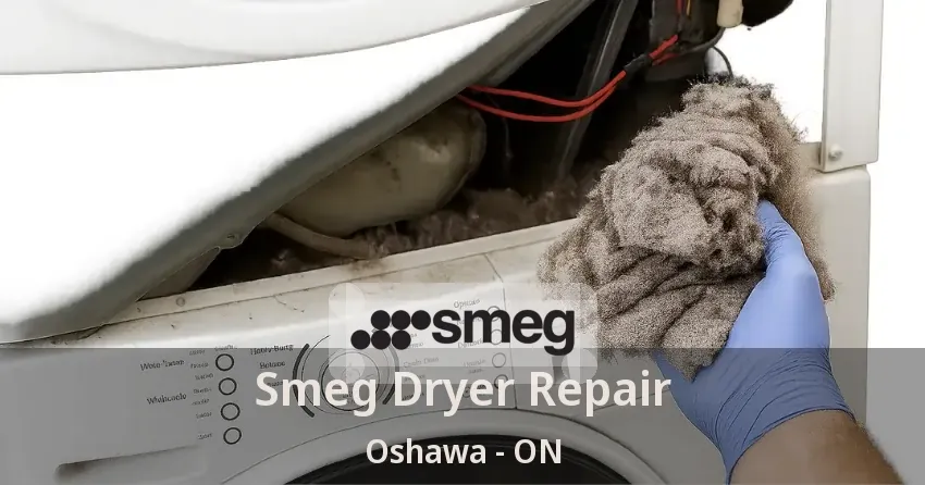 Smeg Dryer Repair Oshawa - ON