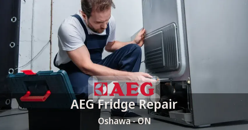 AEG Fridge Repair Oshawa - ON