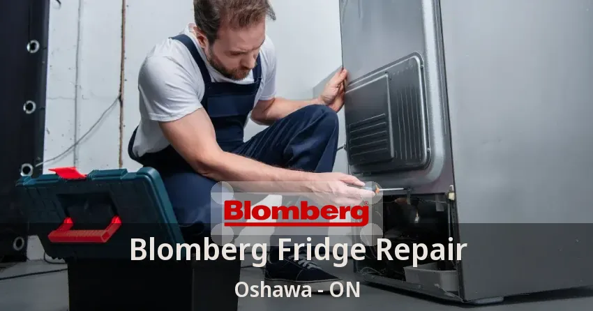 Blomberg Fridge Repair Oshawa - ON