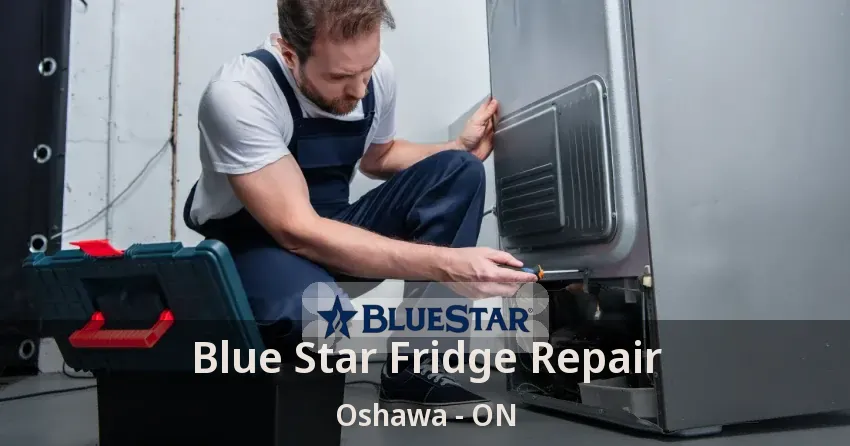 Blue Star Fridge Repair Oshawa - ON