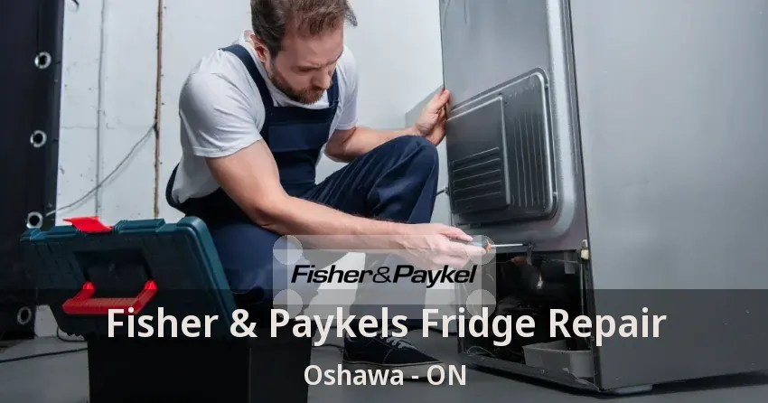 Fisher & Paykels Fridge Repair Oshawa - ON