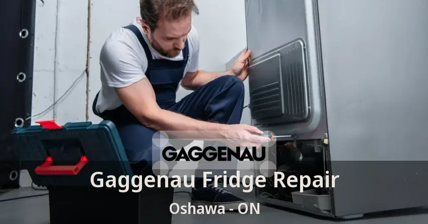 Gaggenau Fridge Repair Oshawa - ON