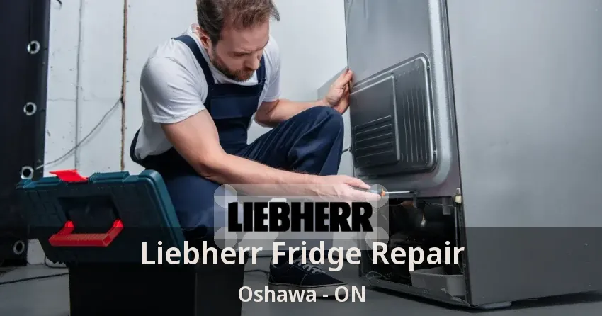Liebherr Fridge Repair Oshawa - ON