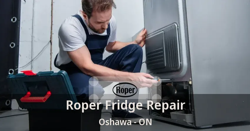 Roper Fridge Repair Oshawa - ON