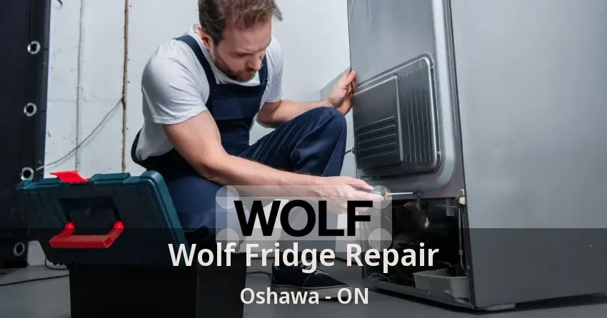 Wolf Fridge Repair Oshawa - ON