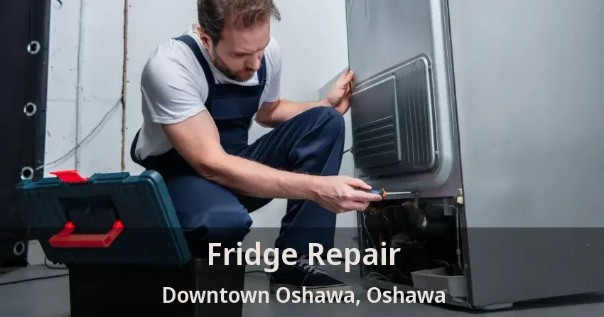 Fridge Repair Downtown Oshawa, Oshawa - ON