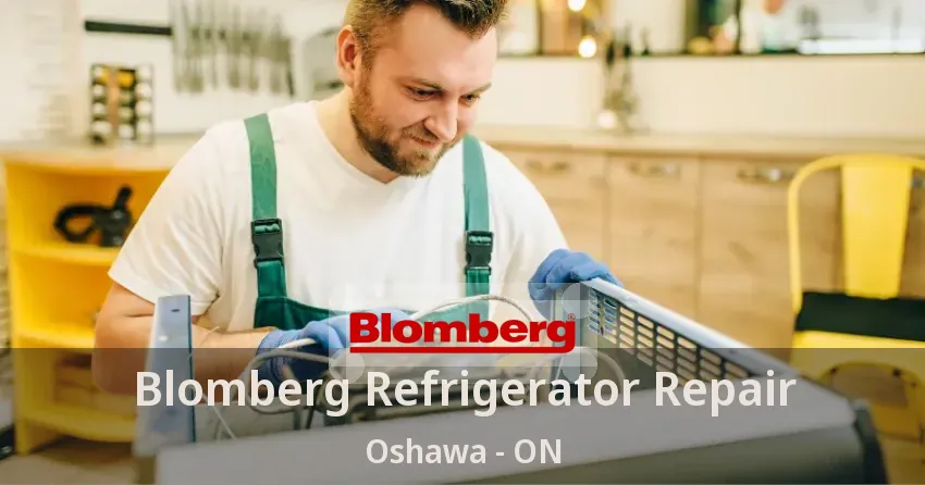 Blomberg Refrigerator Repair Oshawa - ON