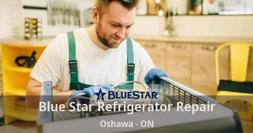 Blue Star Refrigerator Repair Oshawa - ON