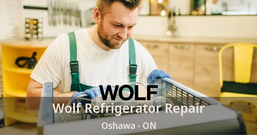 Wolf Refrigerator Repair Oshawa - ON