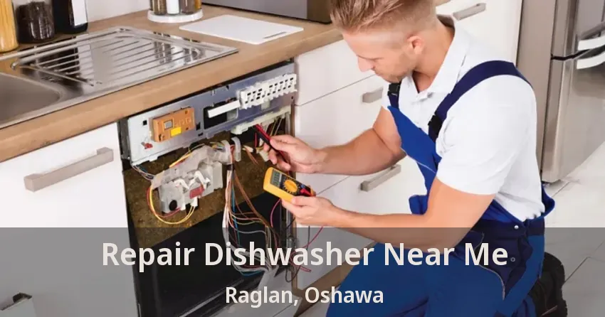 Repair Dishwasher Near Me Raglan, Oshawa - ON