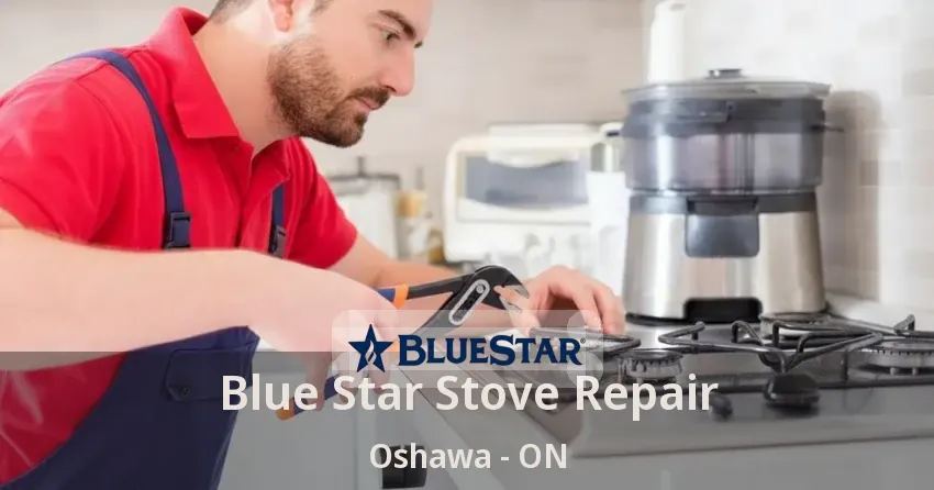 Blue Star Stove Repair Oshawa - ON