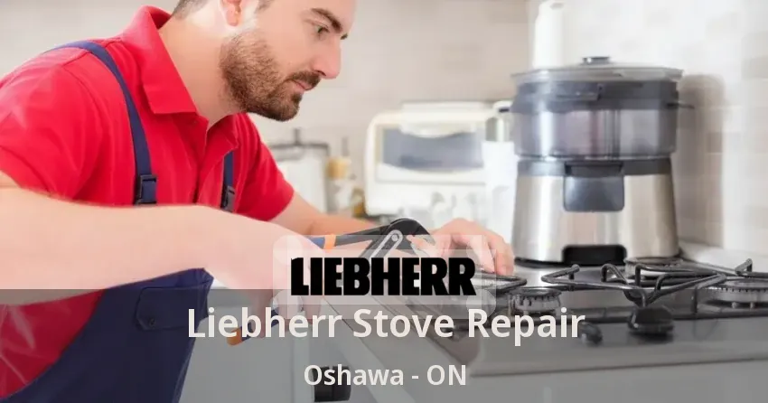 Liebherr Stove Repair Oshawa - ON