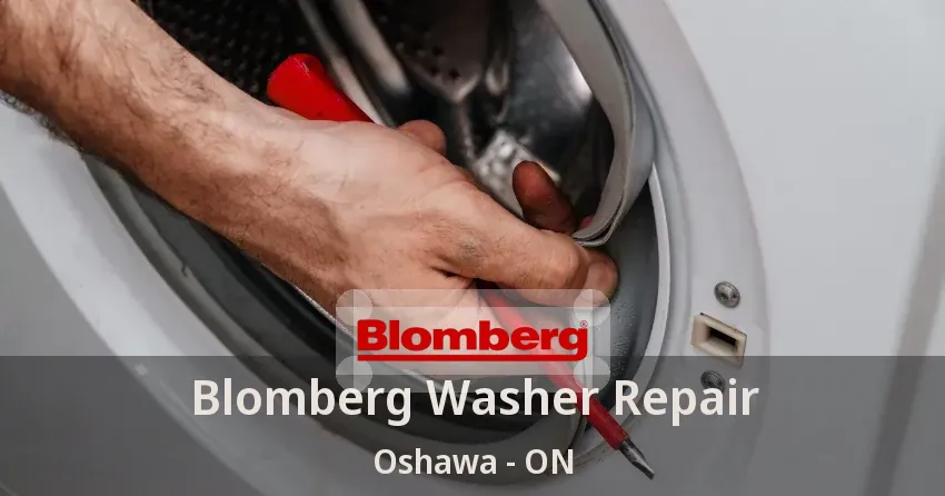 Blomberg Washer Repair Oshawa - ON