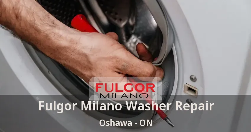 Fulgor Milano Washer Repair Oshawa - ON