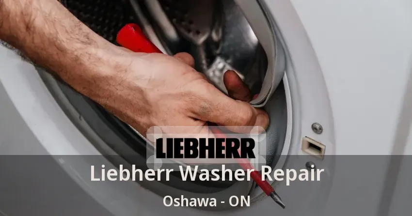 Liebherr Washer Repair Oshawa - ON
